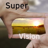 Supervision for Psychotherapists and Counsellors