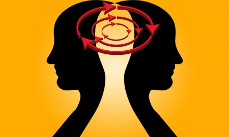 Whole Brain Thinking as a Powerful Skill; A Free, introductory Webinar