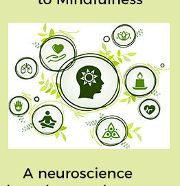 An introduction to Mindfulness – A neuroscience based gamechanger